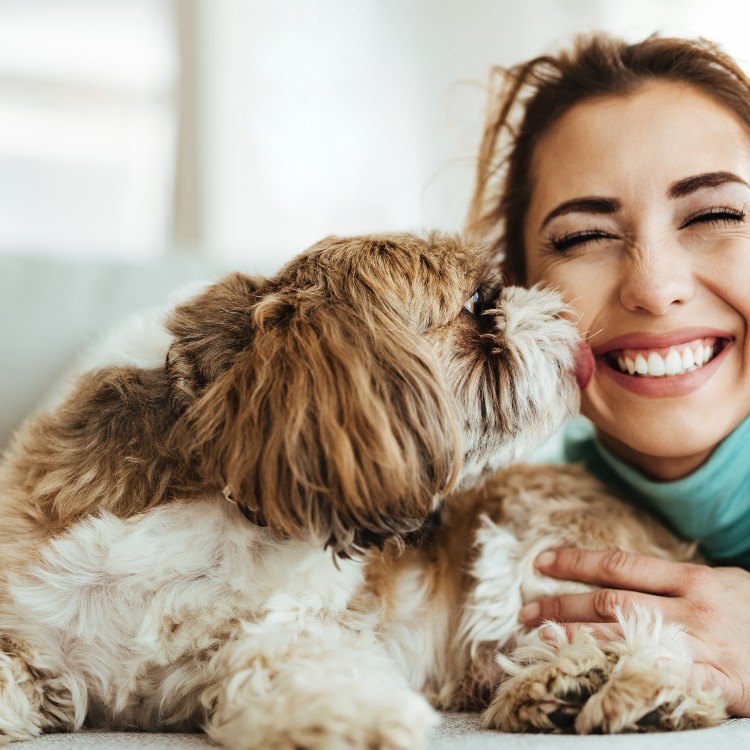 Pet Services in Redding, CA