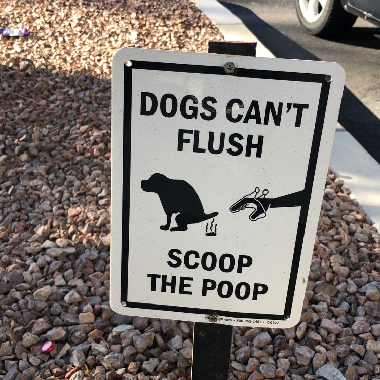 Pet Services in Redding, CA Pet Services in Redding, CA