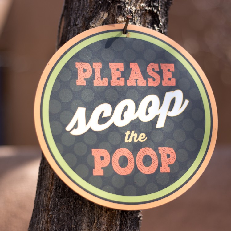 Pet Services in Redding, CA Pet Services in Redding, CA