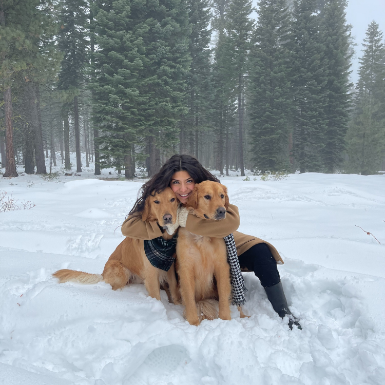 Pet Services in Redding, CA Pet Services in Redding, CA